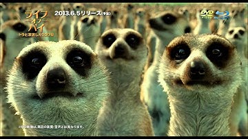 『ライフ・オブ・パイ／トラと漂流した227日』BD&DVD予告編