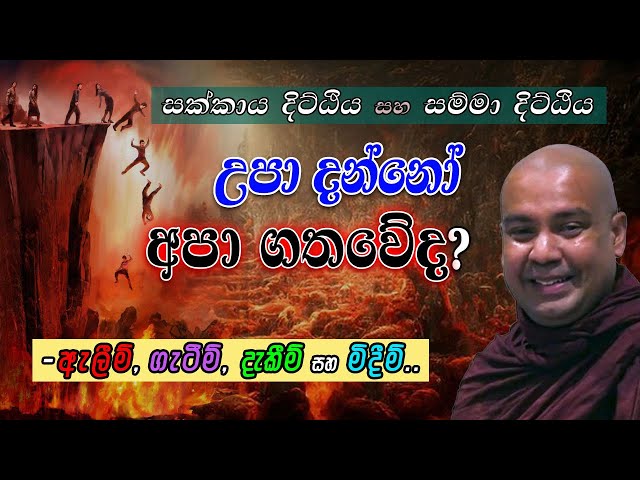 උපා දන්නෝ අපා ගතවේද? (සක්කාය දිට්ඨිය සහ සම්මා දිට්ඨිය) ඇලීම්, ගැටීම්, දැකීම් සහ මිදීම් class=