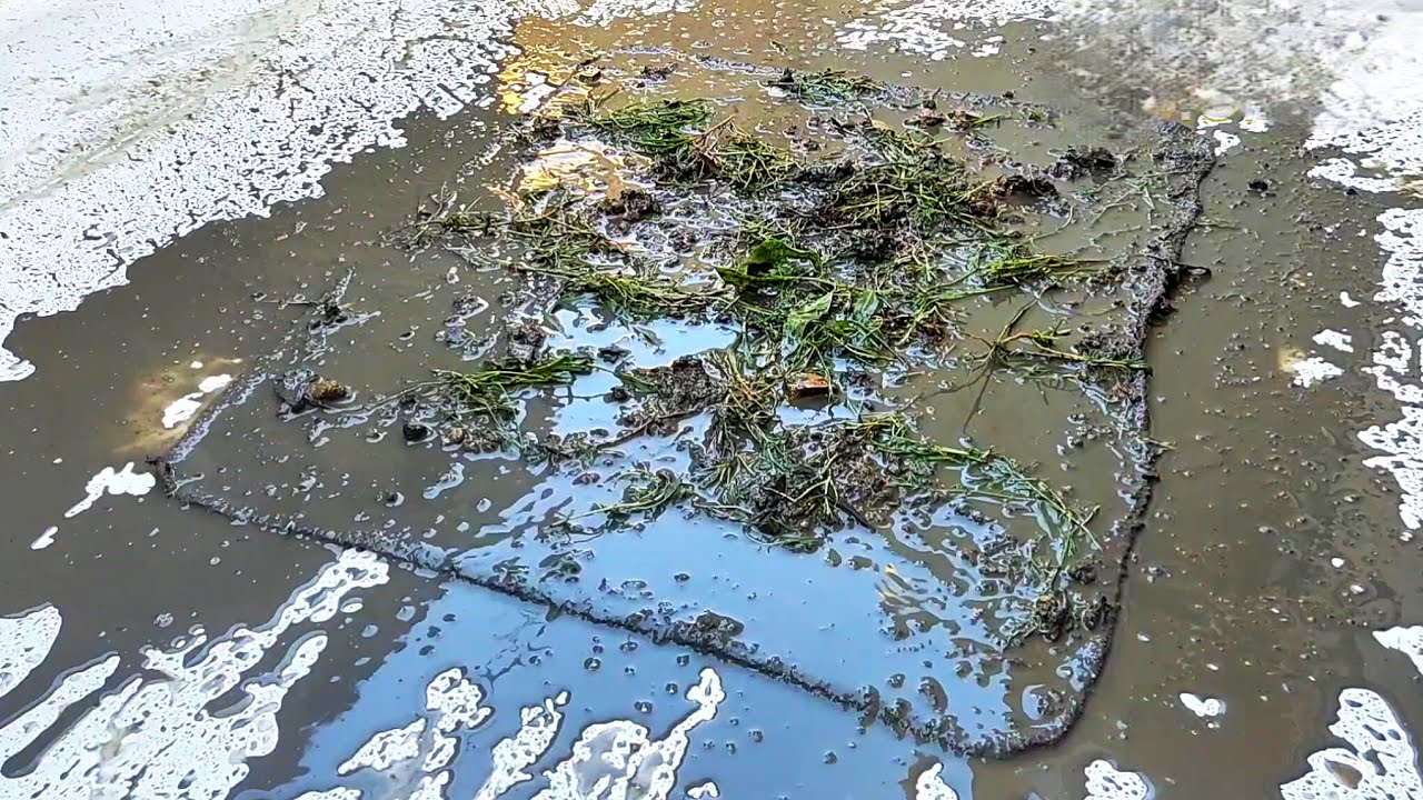 Can this hand vacuum clean this dirty mud off the carpet well?