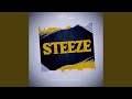 Steeze mp3