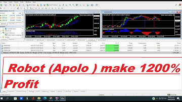 Live scalping trading Robot (Apolo ) make 1200% Profitability / work also on small FX Accounts