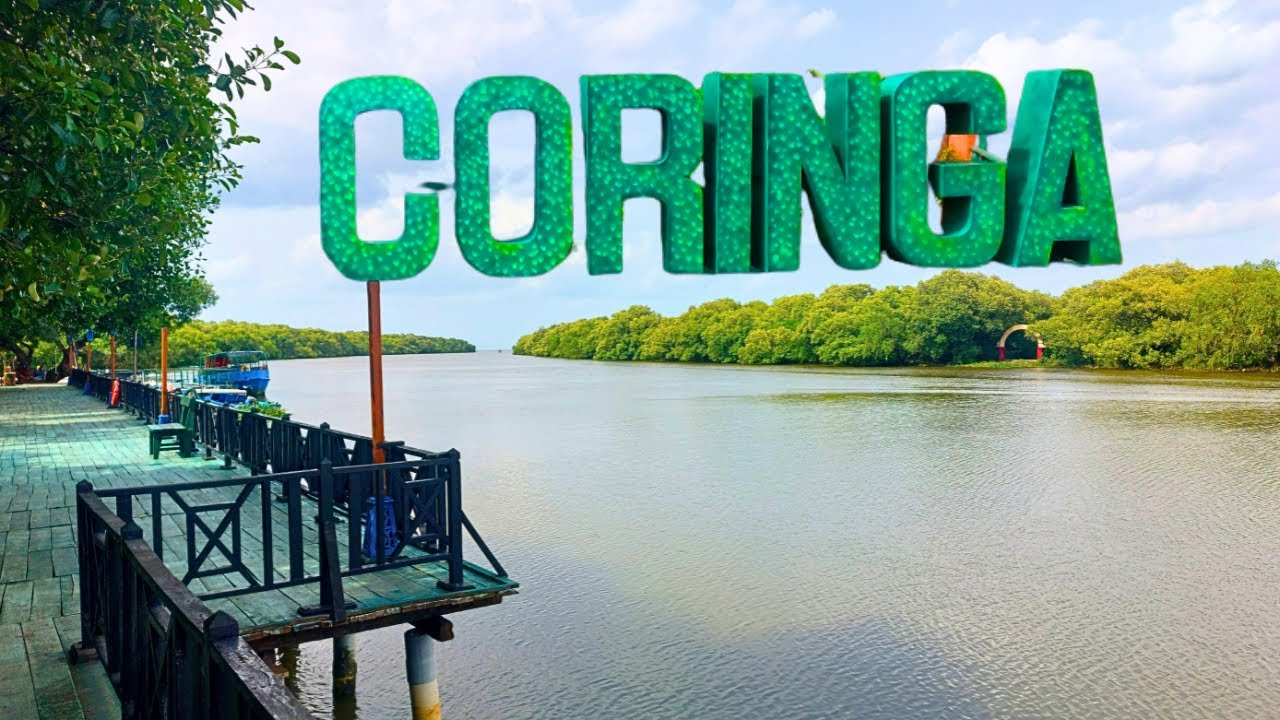 Coringa Wildlife Sanctuary And Boating Full Tour || Coringa Wild Life Sanctuary Fully Explored