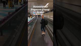Transfer to Connection Flight #Singpore #Changi #Airport #travel #transfer #changiairport #flight