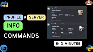 User Profile and Server Info Commands | Discord Nextcord Bot Tutorial Python | Part 12