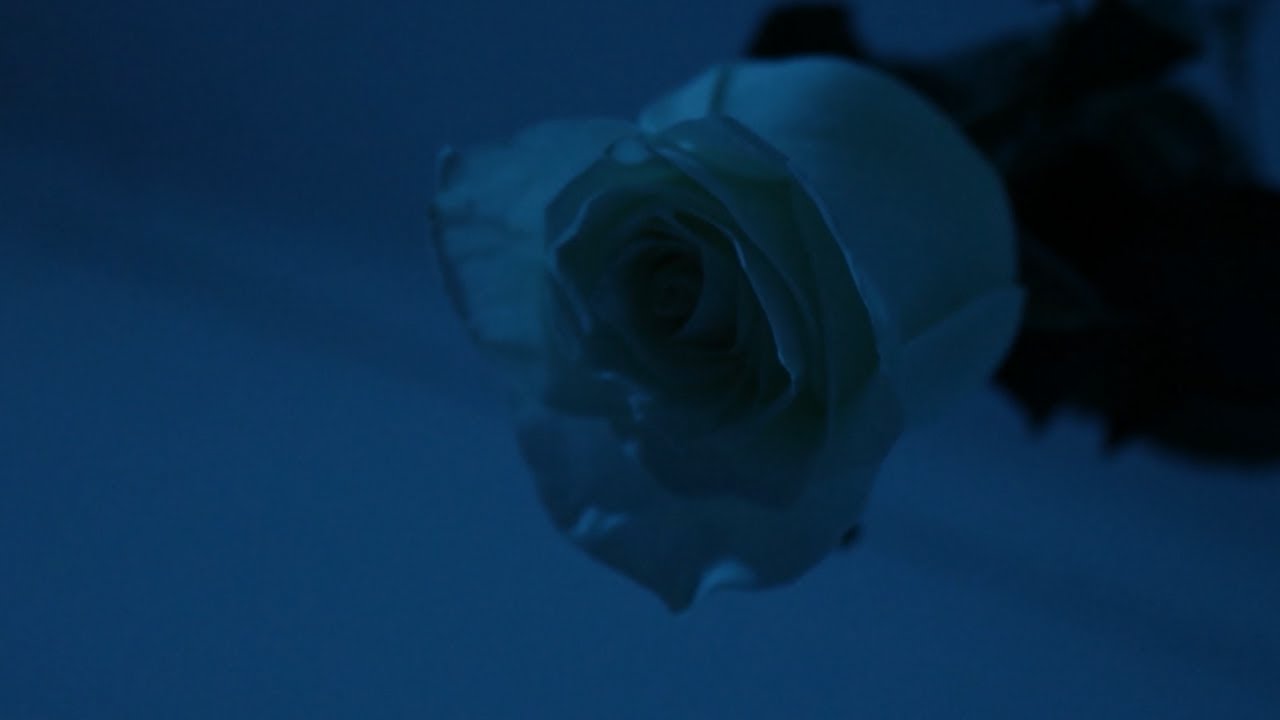 Pink - Madrid feat.Russo ( VIDEOCLIP )