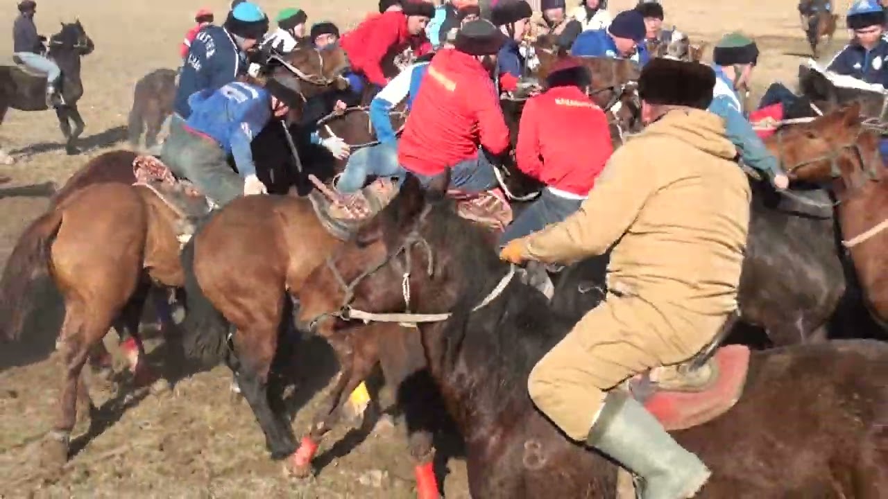 Жандос бауырымыздын елден бата алу кокпары 11 01 2024 кутарыс кокпар