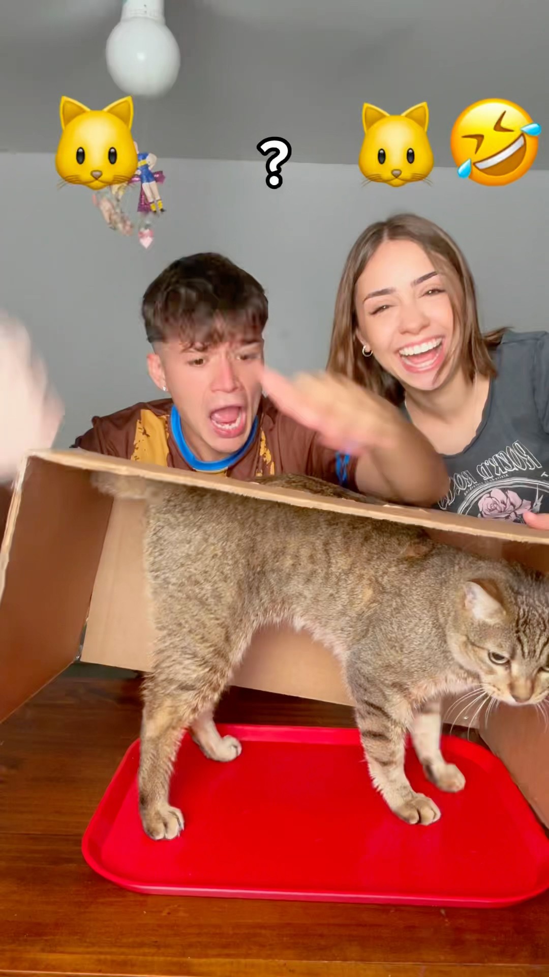 ADIVINA QUE HAY EN LA CAJA ¿? ???