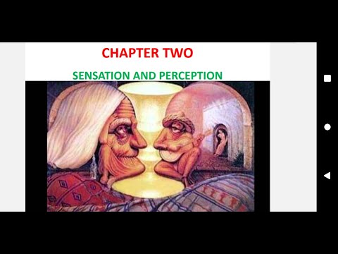 General Psychology freshman course unit 2 part 1 Sensation and ...