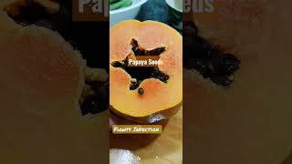 Papaya Seeds homeremedies shorts