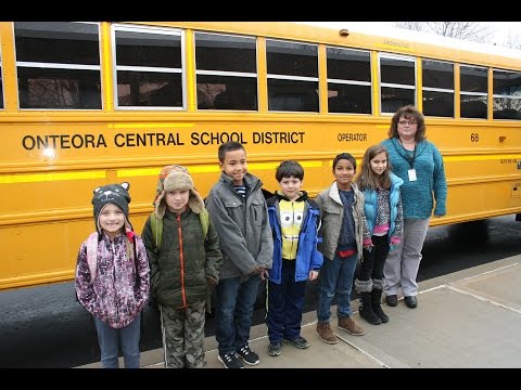 Woodstock Primary School Students Create Essaysture schools Safety Video