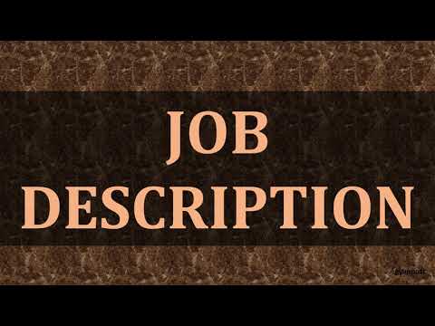 DIFFERENCE BETWEEN JOB