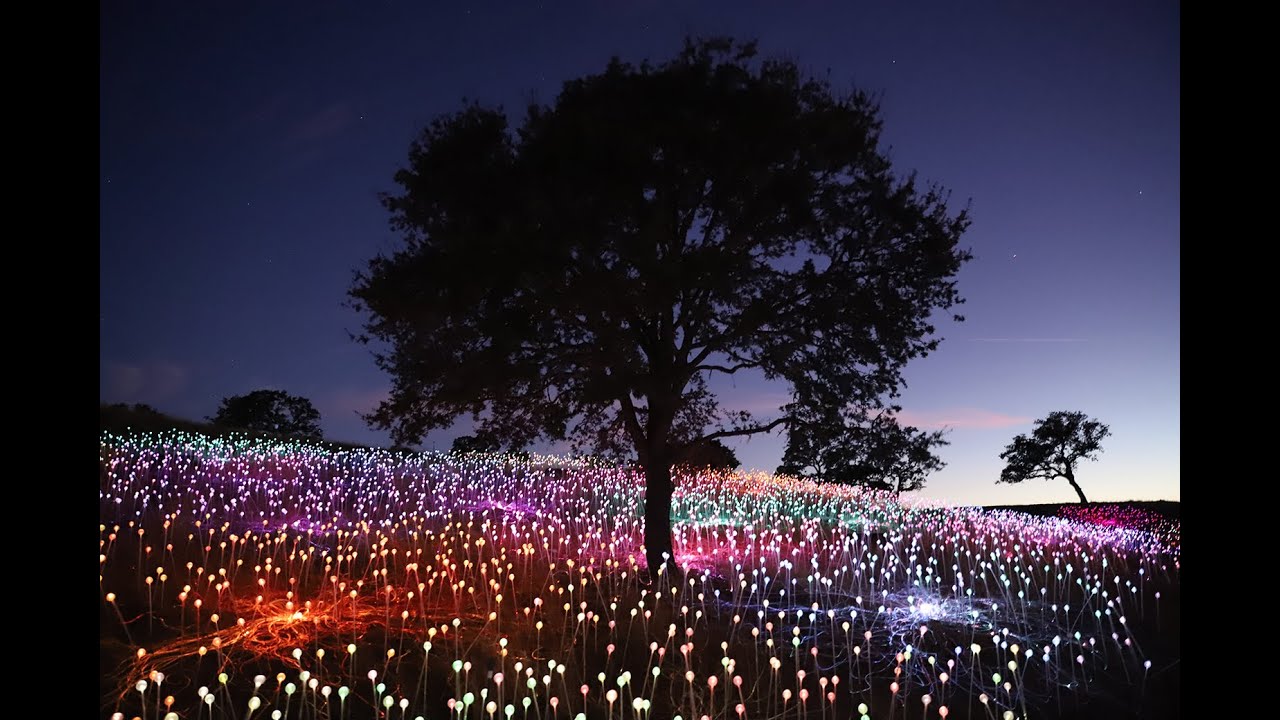 Sensorio - Field of Light