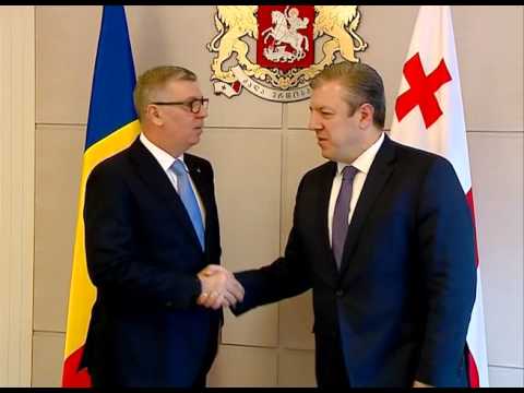 შეხვედრა რუმინეთის პარლამენტის დეპუტატთა პალატის თავმჯდომარესთან