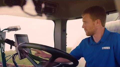 Boldly Grow™: Thrive