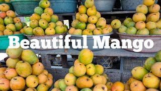 Mangga Gincu Oleh Oleh Asli Majalengka Kios Teh Ririn || Beautiful Mango Gincu