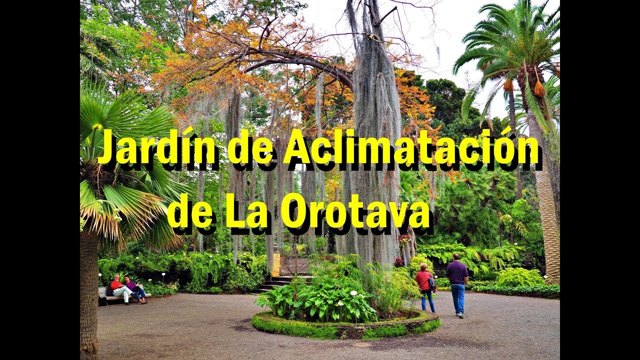 Botanical Garden Jardin De Aclimatacion De La Orotava Youtube