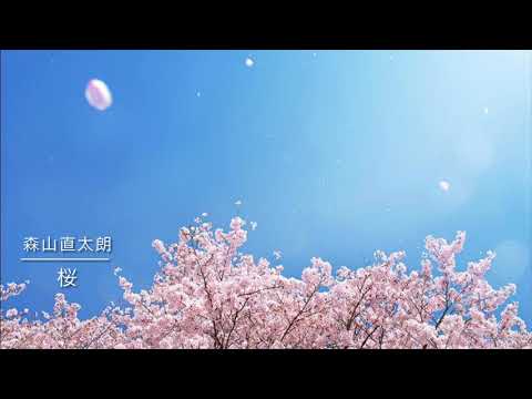 【女性がうたってみた】さくら(独唱) ／ 森山直太朗　covered by はっしー