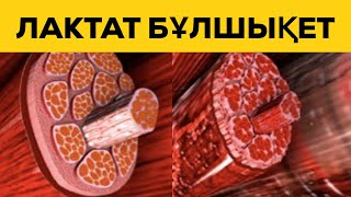 БҰЛШЫҚЕТТЕР НЕ ҮШІН АУЫРАДЫ?