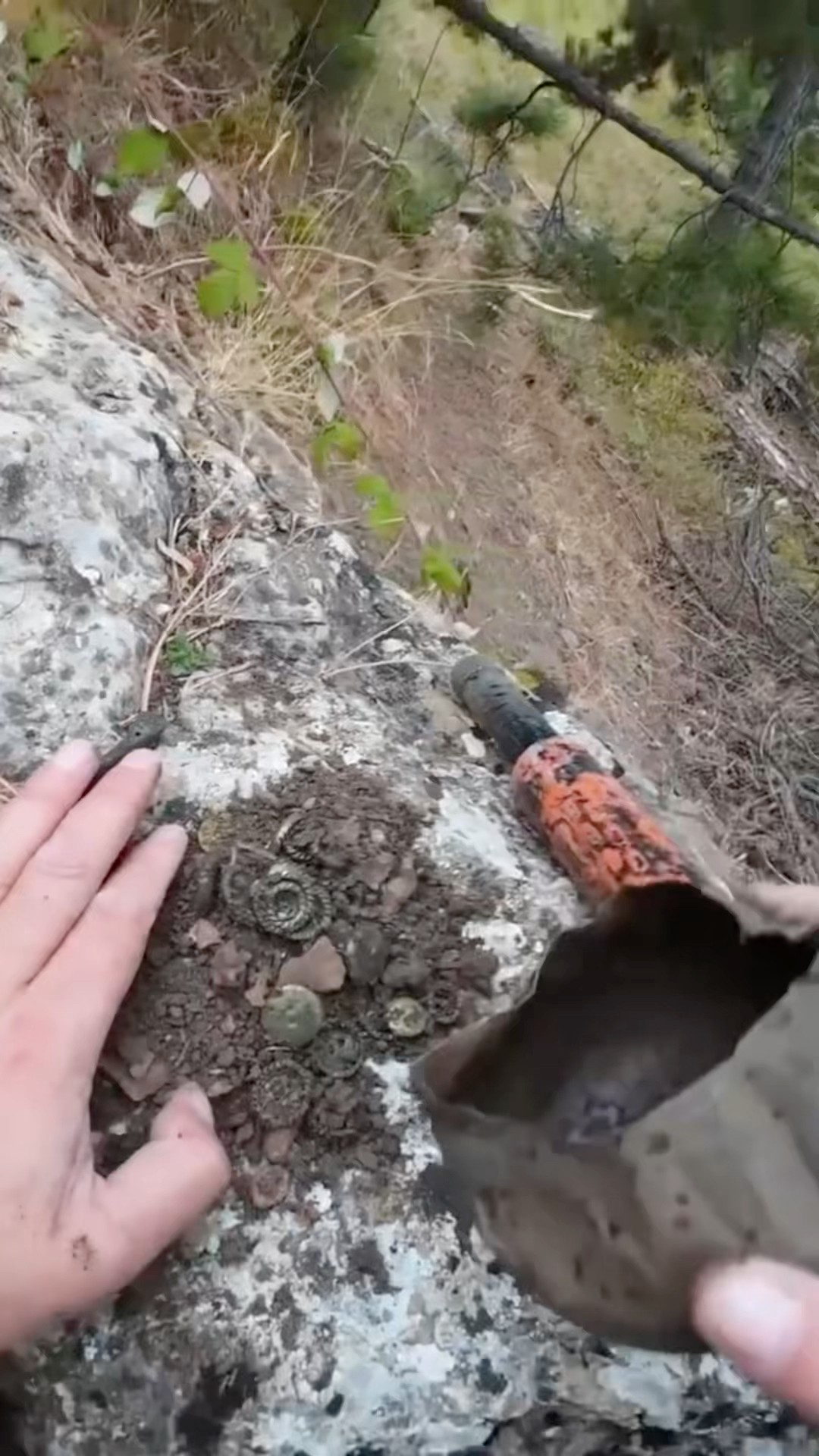 Tonluk Kayanın Altındaki Gizemli Define Çıktı !!