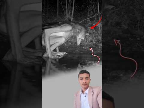 لم يكن حيوان ا ولا شبح ا كان شيئ ا بينهما يشرب من النهر وعيناه تلمعان كجمر مشتعل اكسبلور لايك