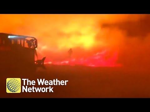 Firefighter footage captured inside the California fires is as real as it gets