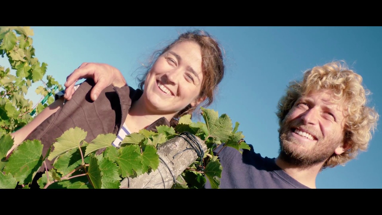 L' Austral - 2ème prix Concours Vignerons et Terroirs d'Avenir 2017