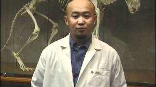 Frog Dissection part 1