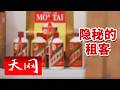 《天网》240瓶白酒凭空消失 现场毫无破绽 “完美”盗窃后贼还会回来吗？20260506