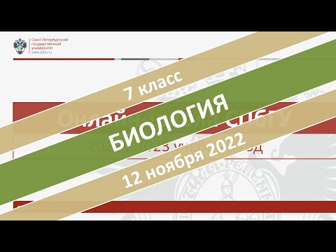 Видео: Фукус гаплоид уу эсвэл диплоид уу?