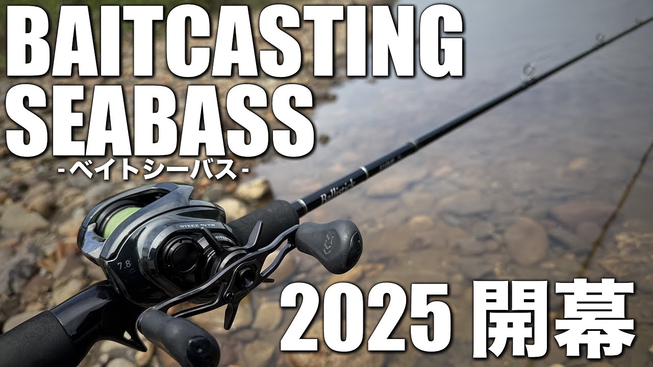 ベイトシーバス開幕…物凄い太さの清流シーバスに出会う…