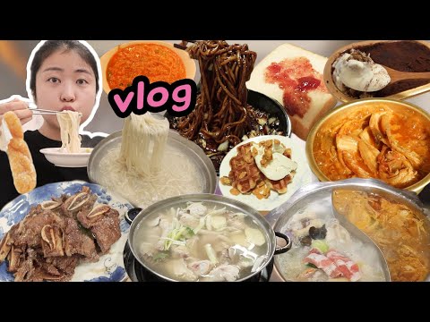 [먹방 브이로그] 건강검진 <strong>금식</strong> 후엔 폭식뿐 │ 짜장면, 훠궈, LA갈비, 김치찌개, 김연경 식빵, 닭한마리 칼국수,  진리 티라미수, 크로플 Mukbang Vlog