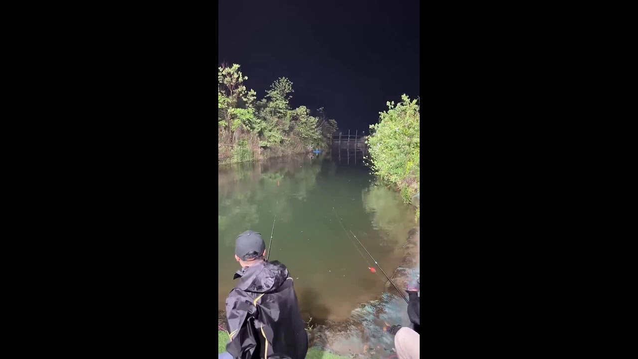 Jose Wright Live Stream