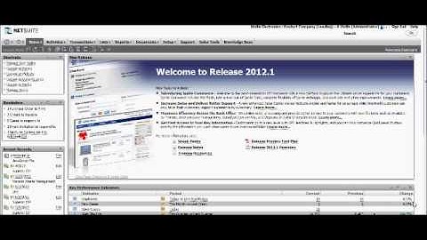 Instructional Video - Netsuite Support - Fast Business Computing - Appearance