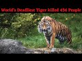 Champawat Tigress killed 436 People│ World’s Deadliest Man eater Tiger in History│ Jim Corbett Story