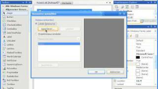 Label (Visual Basic 2008 1-120)