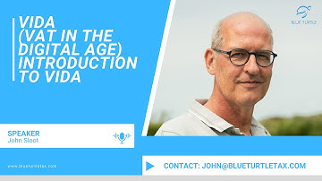VAT in the Digital Age: Introduction to ViDA | Insights from Blue Turtle Tax