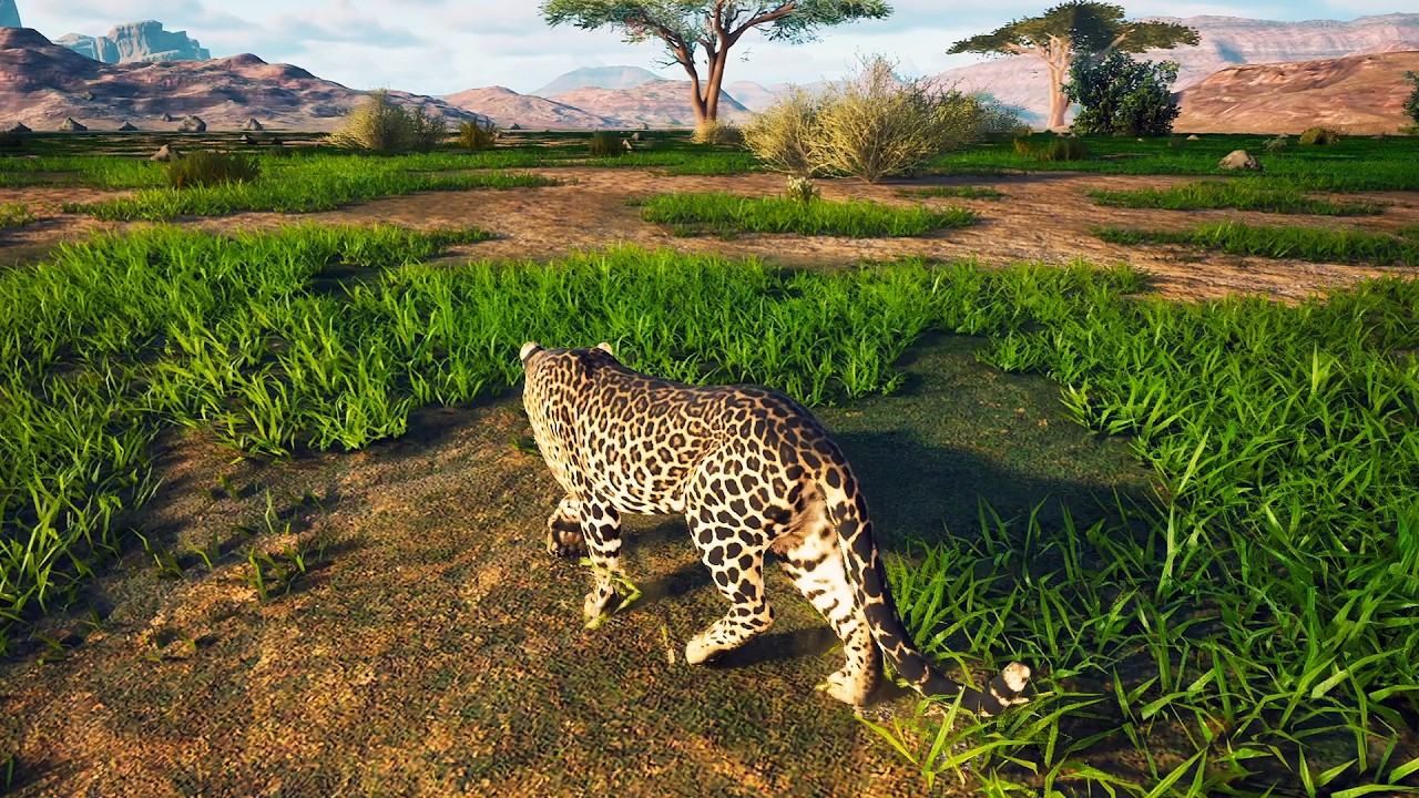 Сможет ли этот леопард выжить в дикой природе?