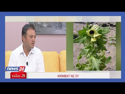 Video: Si Të Merreni Me Krimbat Në Një Fëmijë Me Mjete Juridike Popullore