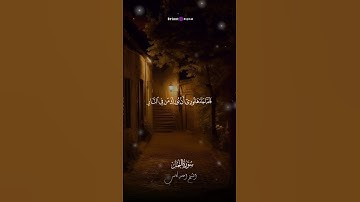 تلاوة مريحة للقلب من سورة النمل | أحمد كاسب #quran #المصحف