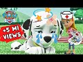 THE BOO BOO SONG COM PATRULHA CANINA / A MÚSICA DO DODÓI/ NURSERY RHYMES AND KIDS SONG