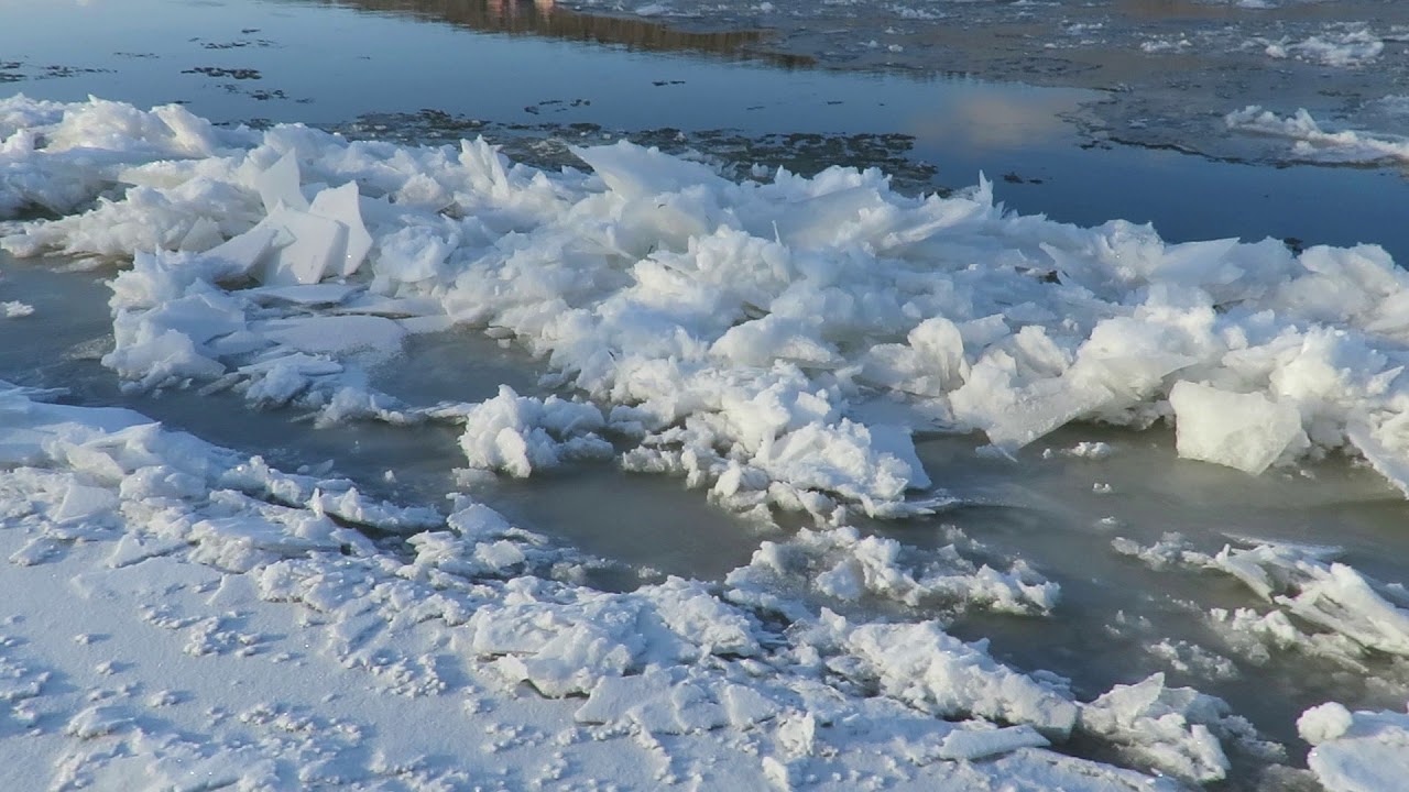 Ледостав что это такое. Шуга лед. Ледяная Шуга на реке. Шуга рыхлый лед. Шуга лед на реке.