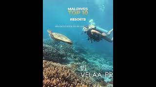 Velaa Private Island. No.1 Best Maldives Resort 2022. #shorts
