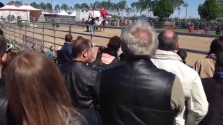 Esibizione equestre alla fiera di Origgio