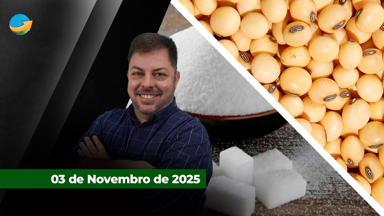 Cenário é positivo para arroba do boi em Novembro ; Açúcar se recupera, mas tendência de longo...