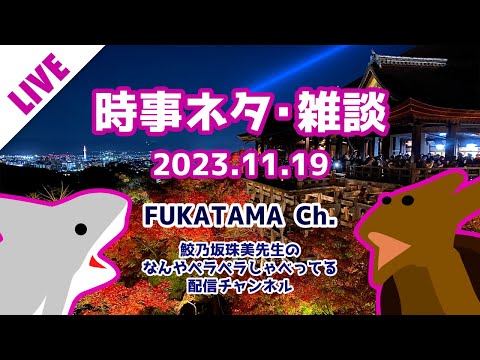 【2023.11.19 配信】鮫乃坂先生のなんやペラペラしゃべってる配信チャンネル のライブ配信【雑談】