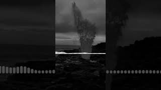 Tek korkum bu kadar...#seksendort #kendimeyalansoyledim #nesrullaresmi #nesrulla