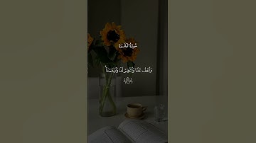 "ربنا لا تؤاخذنا إن نسينا | ختام سورة البقرة بصوت أحمد العجمي – تلاوة خاشعة تريح القلب"