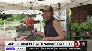 Farmers grapple with massive crop loss