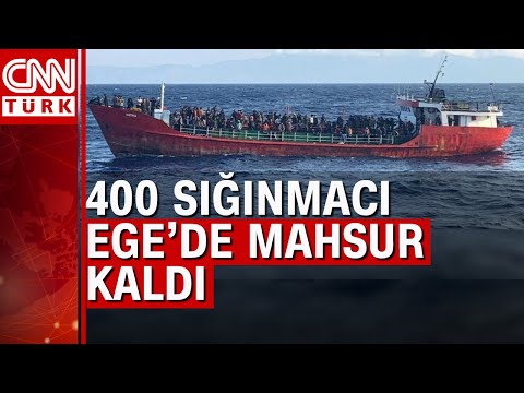 Video: Yüzen Limnobium Kaçıyor