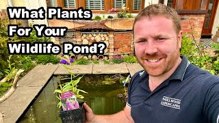 5 Essential Plants For YOUR WILDLIFE POND